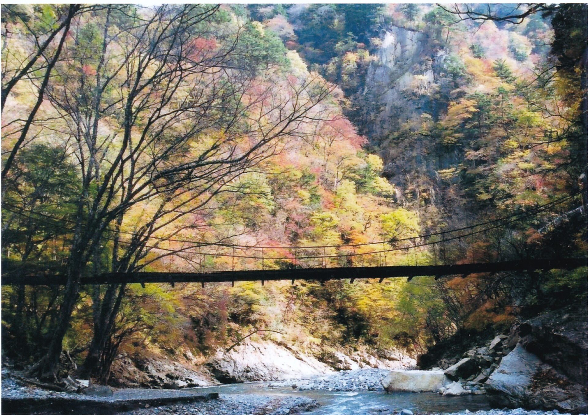 中津川の紅葉　埼玉県